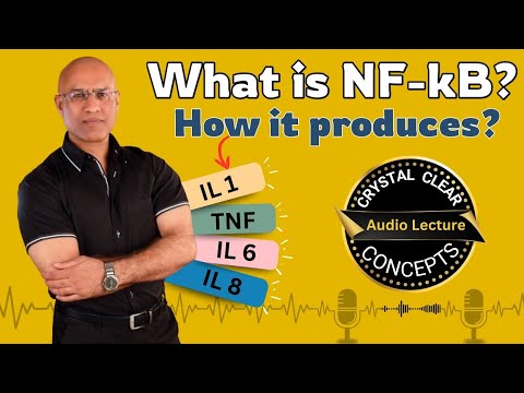 NF kappa B | Cytokines Production | IL 1 | IL 6 | IL 8 | TNF | NF-kB