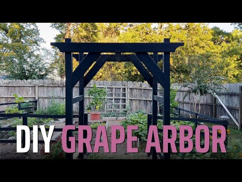 DIY Grape Arbor Archway that's ACTUALLY Easy and Inexpensive