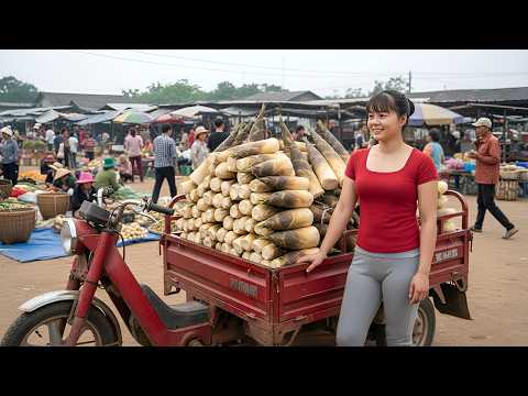 Cosechando Muchos Brotes de Bambú | Transporte en Triciclo al Mercado para Vender