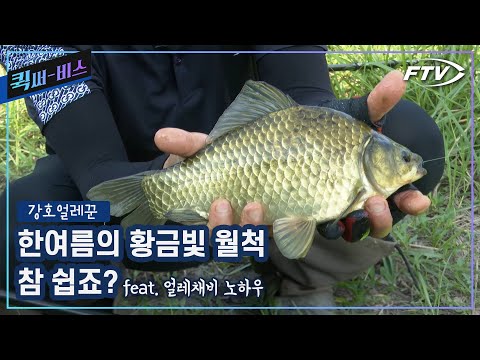 [Full/퀵써-비스]한여름의 더위. 얼레꾼은 어떻게 붕어를 낚을까요? | 반얼레채비 노하우[강호얼레꾼/11회]