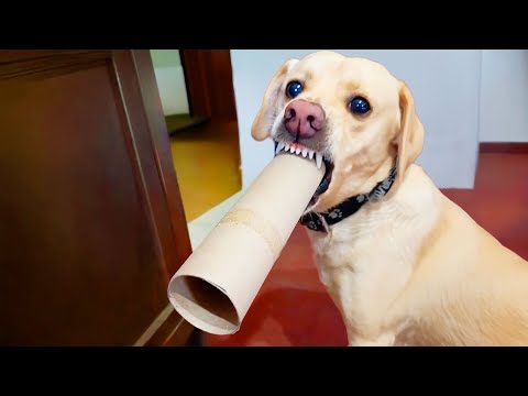 He Turned into a Motorcycle