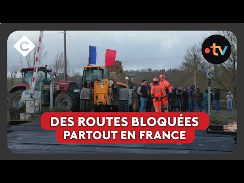 Colère des agriculteurs : opérations coup de poing - Le 5/5 de Lorrain Sénéchal