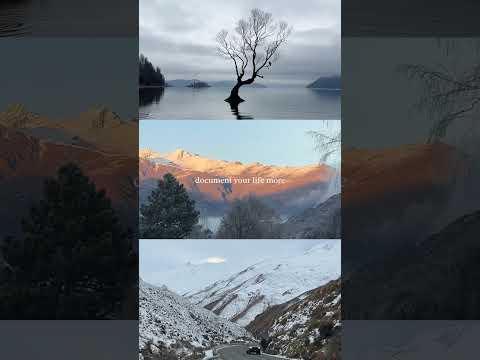 goal for 2026: document my life more