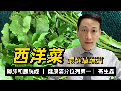 西洋菜，最健康的蔬菜，天然潤肺菜，蔬菜營養密度最高，容易受到寄生蟲污染