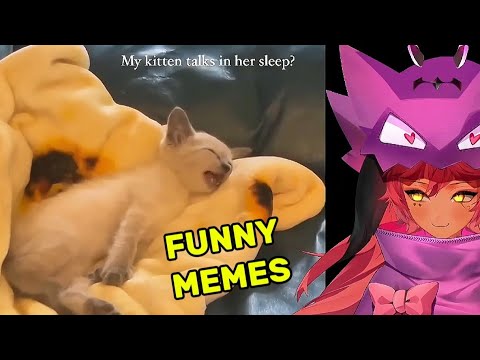 TRICKYWI REACT FUNNIEST ANIMALS EVER AND DAILY DOSE OF INTERNET MEMES 💜🐉