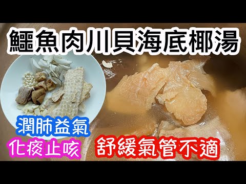 鱷魚肉川貝海底椰湯🐊🥣潤肺益氣🫁止咳化痰✨適合氣管敏感人士飲用