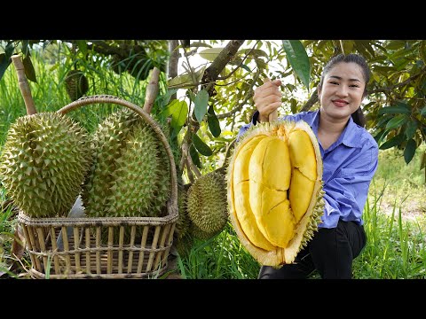 '' Durian fruit season '' Have you ever harvested durian fruit and cooked ? - Countryside life TV