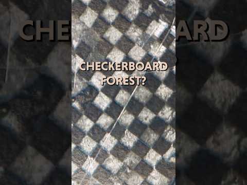 What’s up with these bizarre land forms?