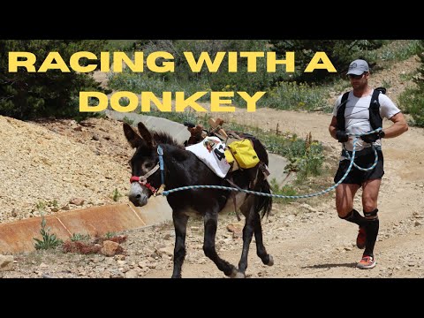 Competing in the Official State Sport of Colorado (Pack Burro Racing)