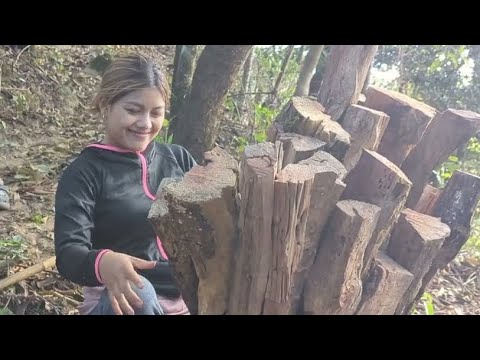 Diki nen Masi thingphurh