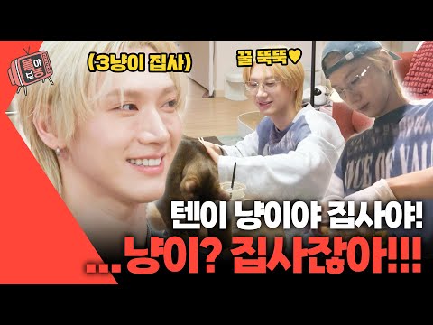 [#몰아보능] 동훌륭 속 냥집사 텐 모음😻 #텐 #NCT #WayV #동훌륭 #동물은훌륭하다 | KBS 방송