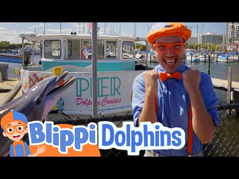 Blippi Searches for Dolphins | Blippi | Shows for Kids - Explore With Me!