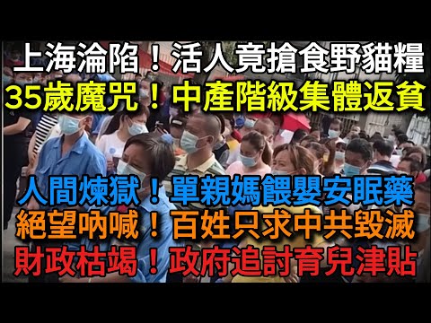【中國經濟危機】「乞丐時代」降臨 — 乞討、搶奪、靠吃貓糧度日的絕望現況