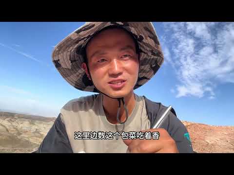 新疆伊犁火龙洞下集，烤排骨玉米鹌鹑蛋，真香吃撑了#户外美食 #新疆火龙洞