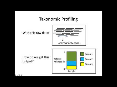 Analysis of Metagenomic Data