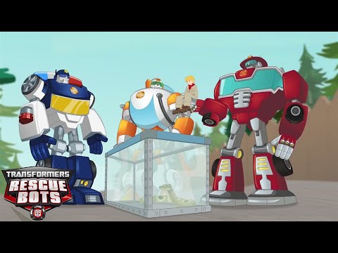 S2E15 | Transformers: Rescue Bots | Buddy System | FULL Episode | Cartoons for Kids |