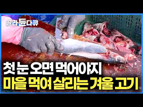 마을 전체가 이걸로 먹고 살아. 겨울이 오면 '이것' 먹어야지! 80%가 나오는 지역 가봤더니 ｜청어, 꽁치 과메기 만드는 과정｜극한직업｜#골라듄다큐