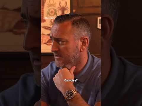 Will Mellor's Cat Story