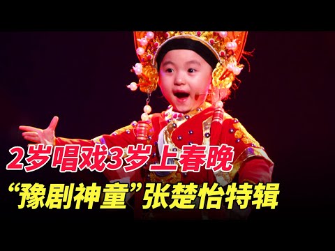 张楚怡特辑|"豫剧神童"张楚怡2岁唱戏,3岁上春晚,4岁获金奖,唱腔动作尽显王者范儿,无人不被惊艳【家有大明星】