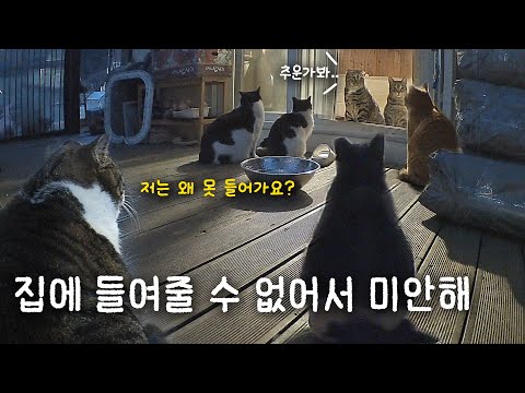 집에 들여줄 수 없어서  미안해..