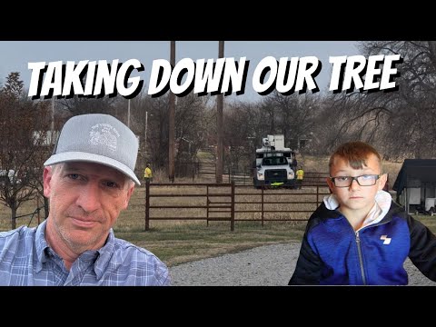 THEY SHOWED UP ON CHRISTMAS EVE EVE