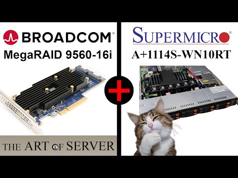 Broadcom 9560-16i Tri-Mode RAID and Supermicro A+1114S-WN10RT | BPN-SAS3-LB16A-N10