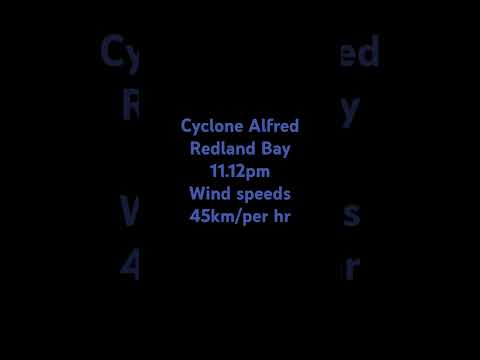 cyclone alfred update