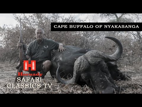 FULL SAFARI |  Nyakasanga Cape Buffalo and Plains Game Safari (2024) PH Keith Wall
