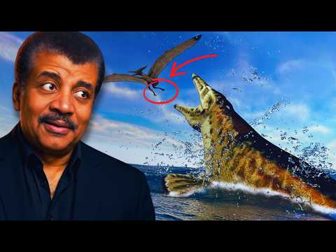 1 HOUR Of SUPER Facts! With Dr. Neil deGrasse Tyson PART 3
