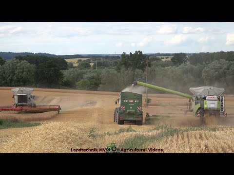 Claas - Case - Fendt - Hawe / Getreideernte - Grain Harvest 2022 The Wohle Story
