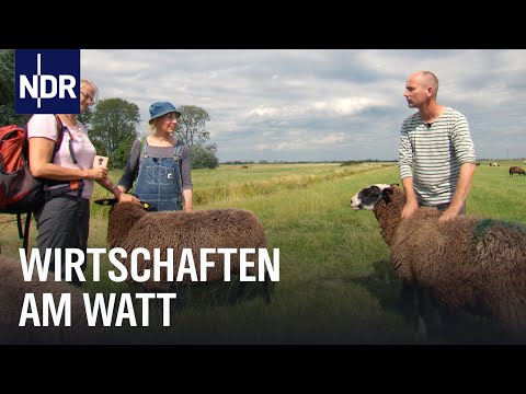 Nordfriesland: Leben und arbeiten an der Westküste | die nordstory | NDR Doku