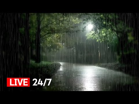 Heavy Rain Sounds Recommended for those who want a Good Night's Sleep - Best White Noise ASMR
