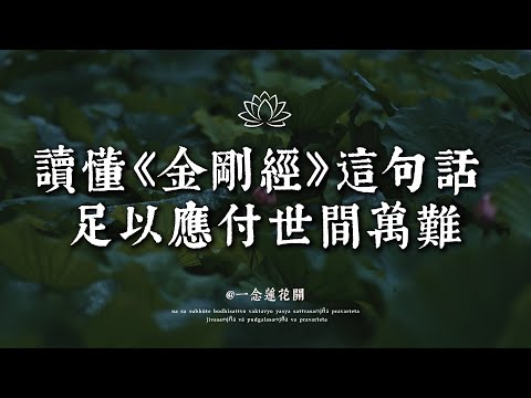 《金剛經》里藏著一句定心咒 讀懂它就能不怕任何事 🪷一念蓮花開 #修行 #國學 #人生感悟 #治癒