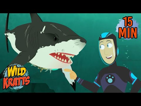 Shark Week | Epic Shark Battles | Creature Combat | Animals for Kids | Wild Kratts