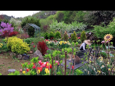 A mountain village with an abundance of food in the garden and flowers in full bloom!!