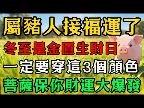 生肖豬必看！明天12月21號冬至，農曆十一月初二是「金匱生財日」，一定要穿這3個顏色，菩薩保你正財橫財大爆發，福氣滿滿！#佛靈禪境#屬相運勢#生肖#家運#生肖運勢的那些事#先知#風水變化#提升運勢