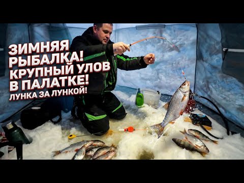 Fishing in the cold. I was looking for perch, but caught roach. Excellent bite!