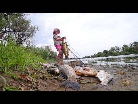 КУЧА РЫБЫ, С НОЧЁВКОЙ. РЕБЁНОК ЛОВИТ САЗАНА С ПАПОЙ. ЛОВЛЯ РАКОВ. Рыбалка на закидушки и поплавок.