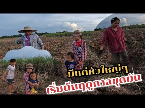 หาเงินค่านมให้ลูก🇱🇦สาวลาว/บ่าวไทย🇹🇭 เริ่มต้นฤดูกาล ￼มันมีแต่หัวใหญ่ๆ￼ 