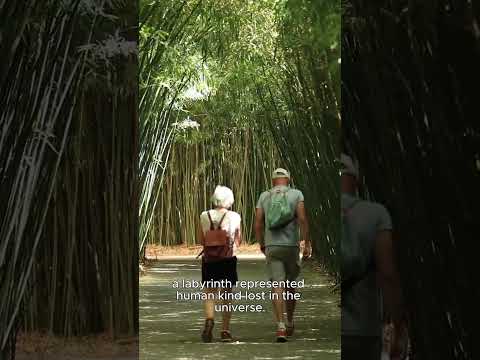The Biggest Maze in the World: Labirinto della Masone
