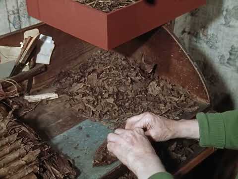 Das Hausgewerbe des Zigarrenmachers. Werkstatt Wilhelm Prosten