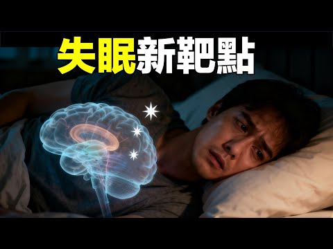 失眠新藥來了，食慾和睡眠奇妙的聯繫，背後的原理可能會得諾貝爾獎。｜鹿哥Gustav