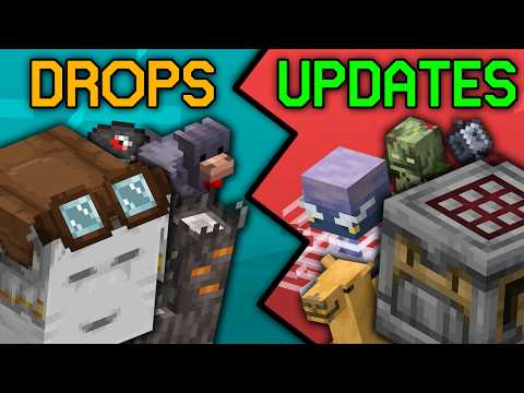 Are Minecraft Drops WORSE Than Updates? | 1 Year Later