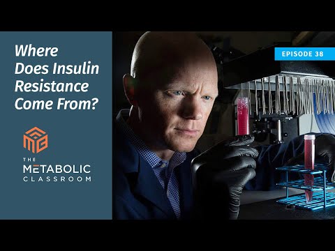 38: Where Insulin Resistance Comes From with Dr. Ben Bikman
