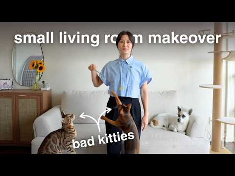 Turning my tiny living room into a COZY CAT'S LAIR