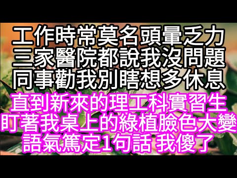 工作時常莫名頭暈乏力三家醫院都說我沒問題同事勸我別瞎想多休息  直到新來的理工科實習生盯著我桌上的綠植臉色大變語氣篤定1句話 我傻了#心書時光 #為人處事 #生活經驗 #情感故事 #唯美频道 #爽文