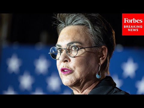 'Neither Of Whom Really Produces Anything': Harriet Hageman Lays Into Hearing Witnesses