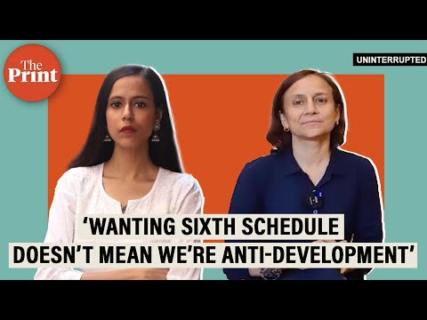 'Govt trying to defame Wangchuk with baseless allegations'—wife & HIAL director Gitanjali Angmo