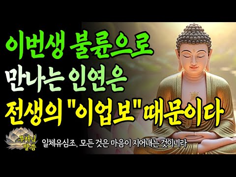 불륜의 만남, 절대 우연이 아니다 / 전생의 이 4가지 업보가 당신을 끌어당긴다 / 부처님 말씀 / 오디오북