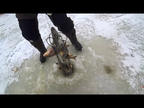 Рыбалка на хапуги. Туда залезли, а назад не идут. Полные рыбы.